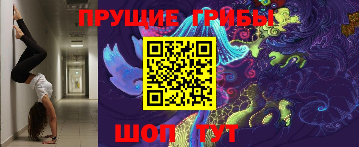 Псилоцибиновые грибы прущие грибы  Псилоцибиновые грибы Cubensis  Ликино-Дулёво  Вход с VPN 